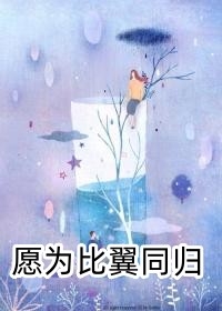 替嫁：妾深情不悔，君一去不回